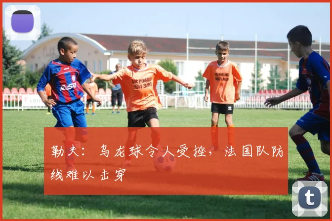 勒夫：乌龙球令人受挫，法国队防线难以击穿