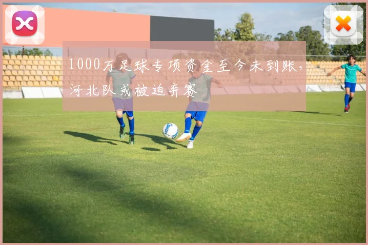 1000万足球专项资金至今未到账，河北队或被迫弃赛
